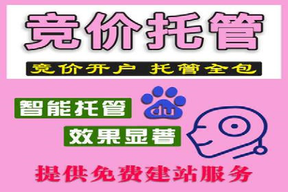 充值返点案例研究：市场趋势与策略分析
